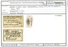 Karteikarte zum Syntyp von Spiroloculina berchtoldsdorfensis Karrer, 1877